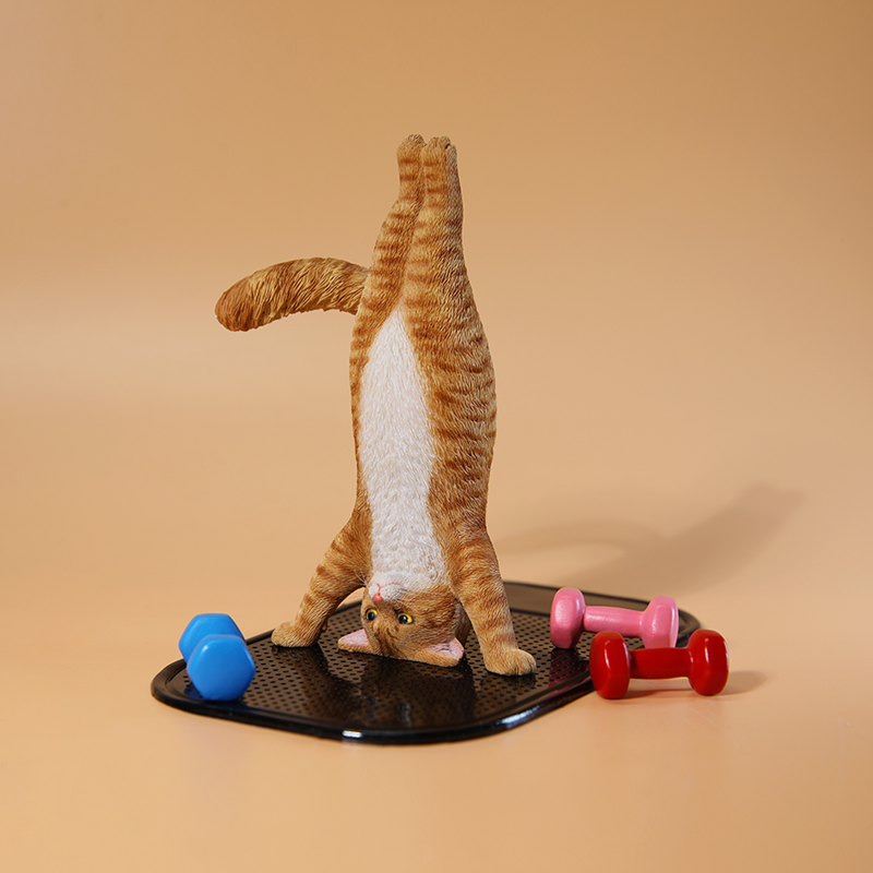 1/6 Schaal Mini Gesimuleerde F - Yoga In Fitness First recensie en prijs